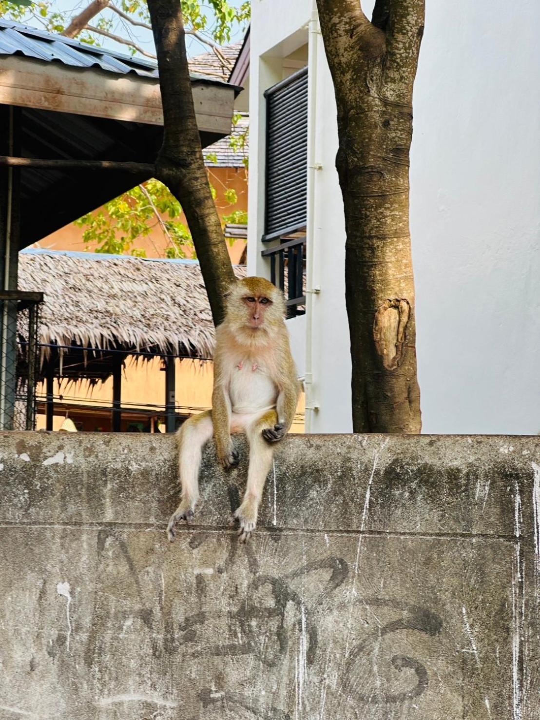 Railay Hilltop Exterior foto